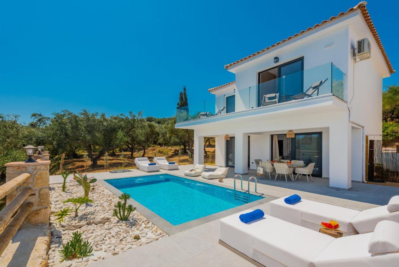 Queen Of Zakynthos Luxury Villas アモウディ エクステリア 写真